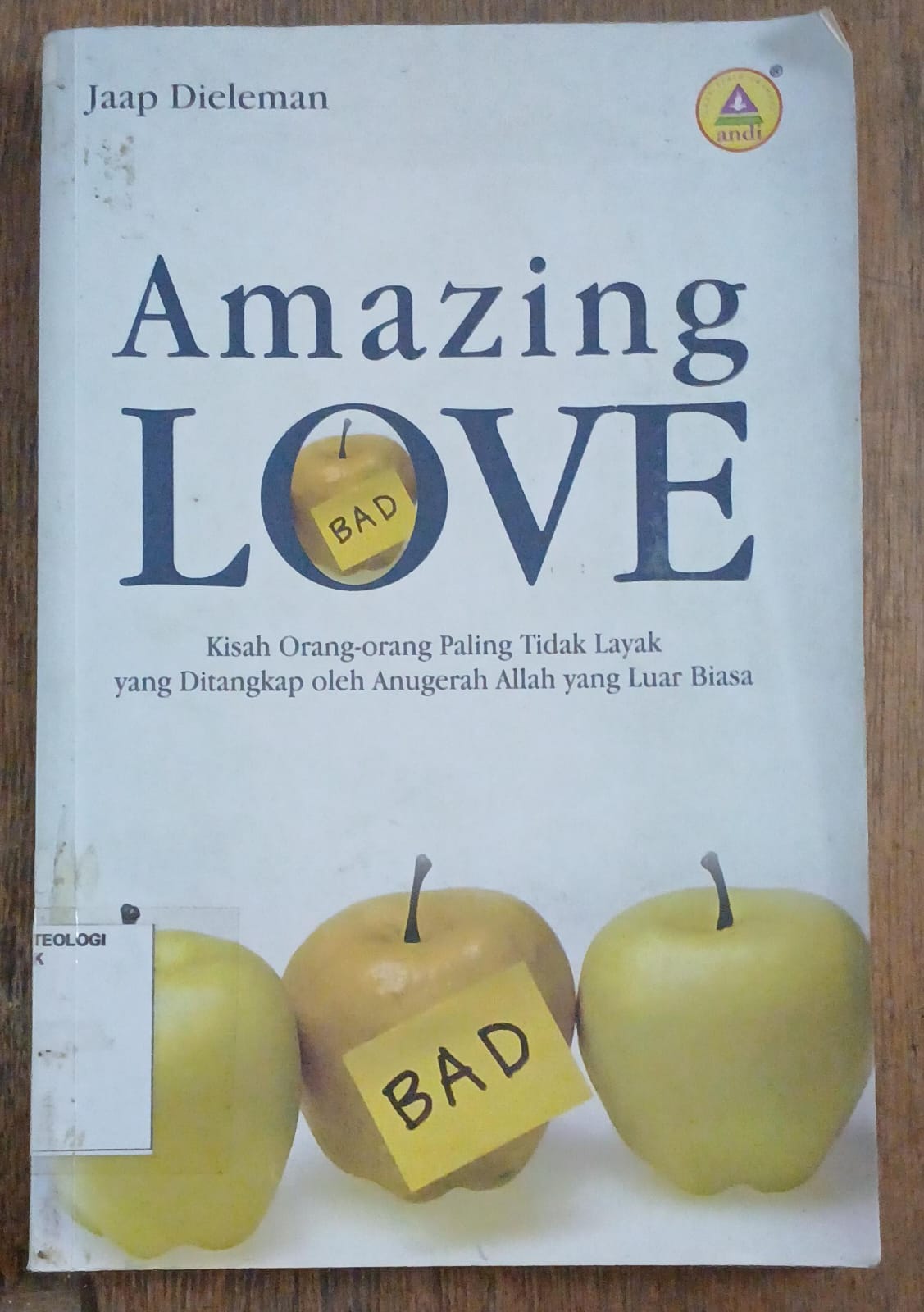 Cover buku Amazing Love