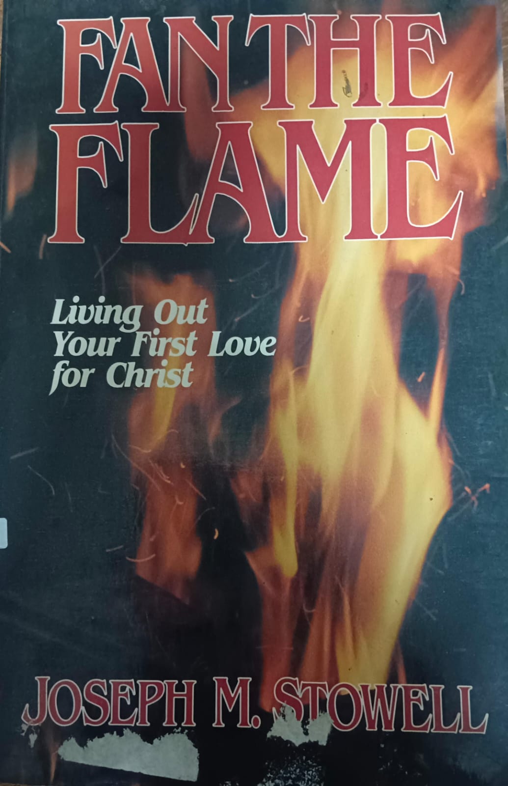 Cover buku FAN THE FLAME Living Out Your First Love for Christ