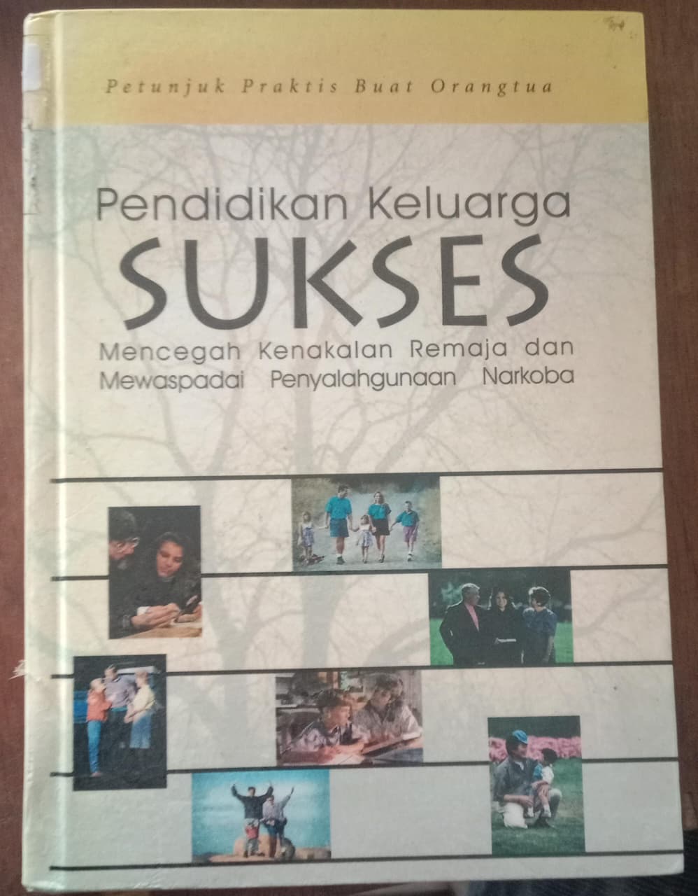 Cover buku PENDIDIKAN KELUARGA SUKSES MENCEGAH KENAKALAN REMAJA DAN MEWASPADAI PENYALAHGUNAAN NARKOBA