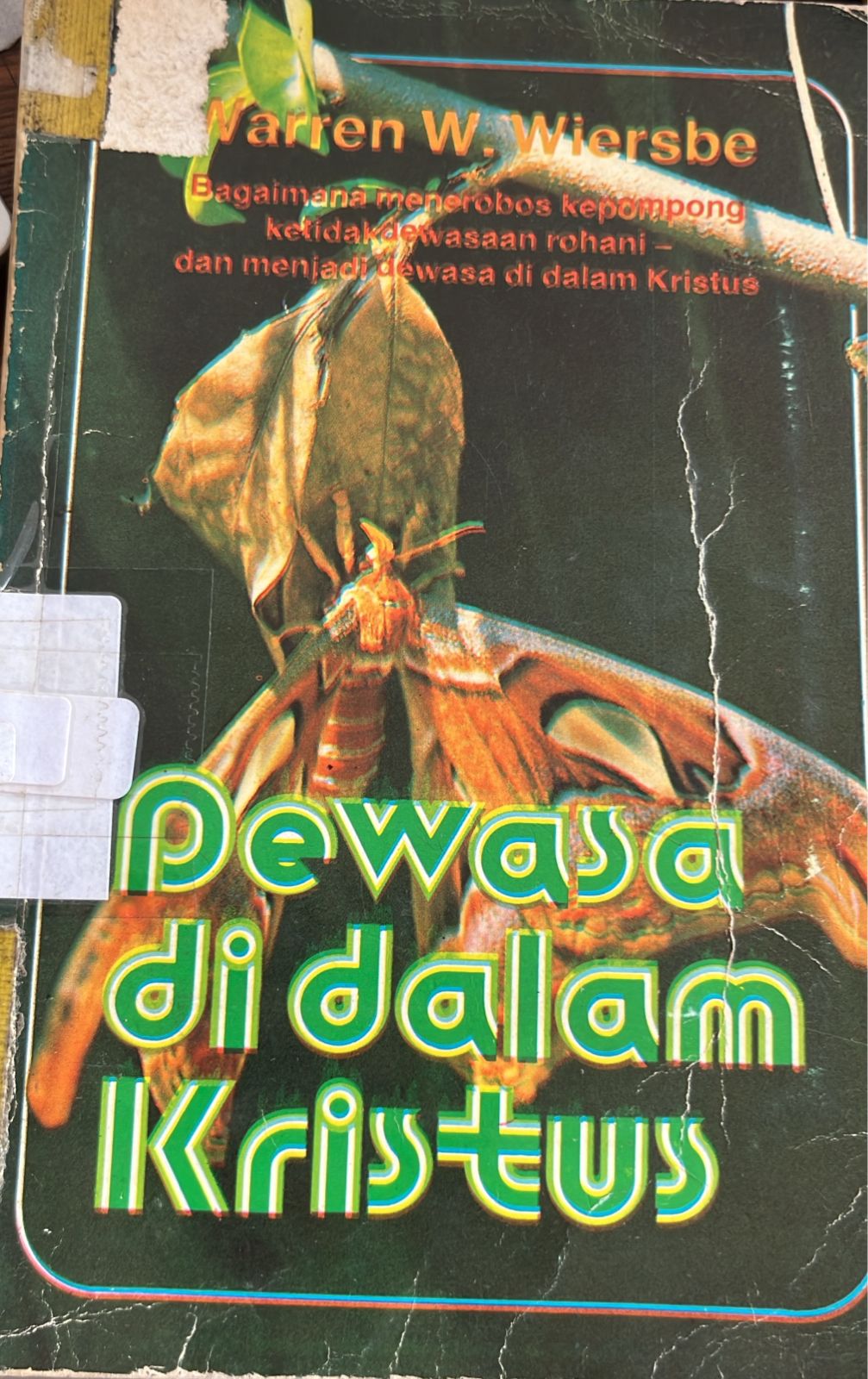 Cover buku Dewasa Didalam Kristus