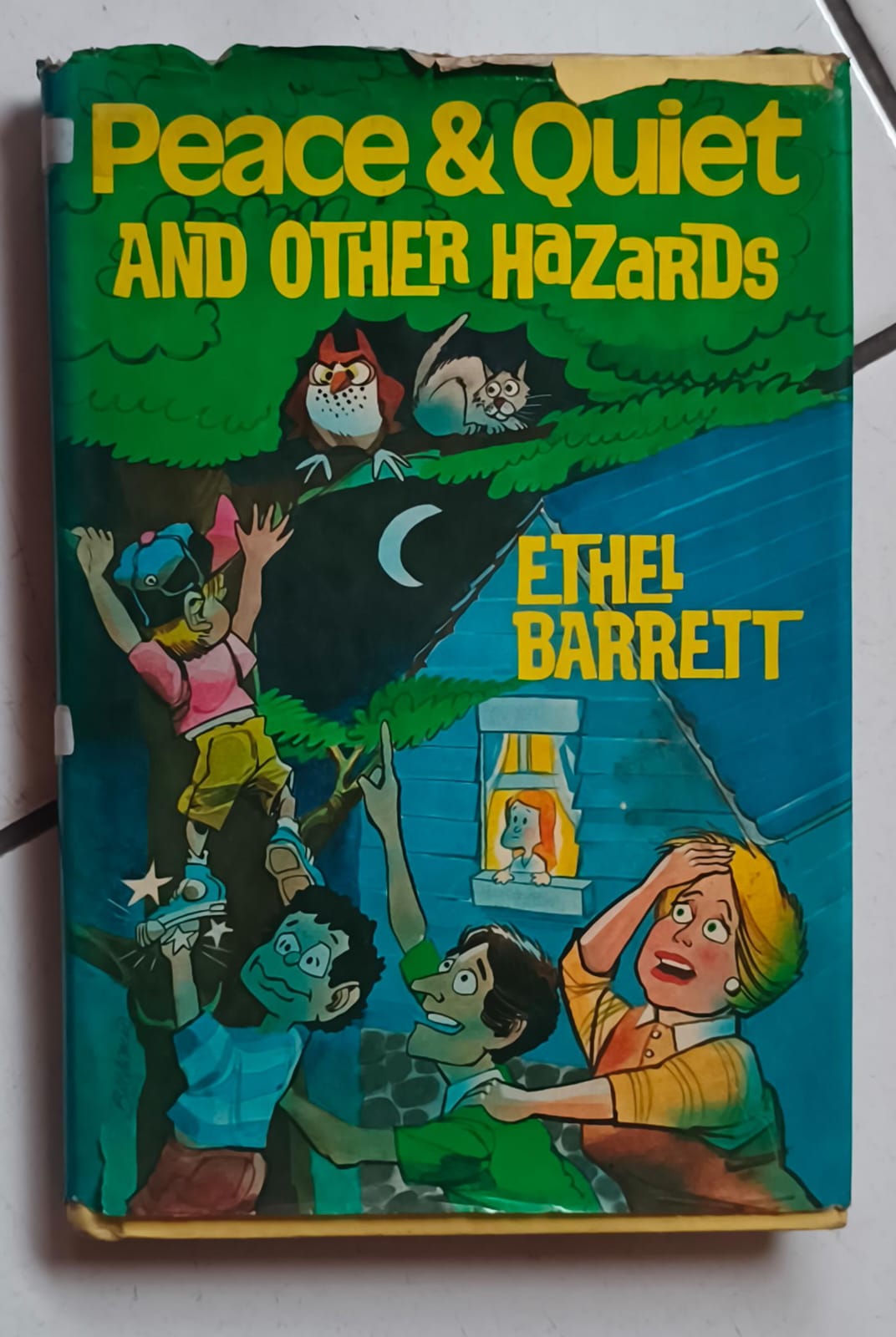 Cover buku Peace & Quiet AND OTHER HAZARDS