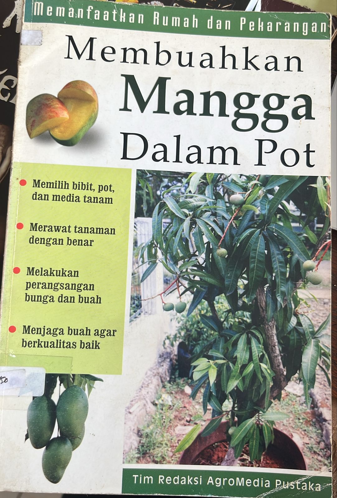 Cover buku Membuahkan Mangga Dalam Pot