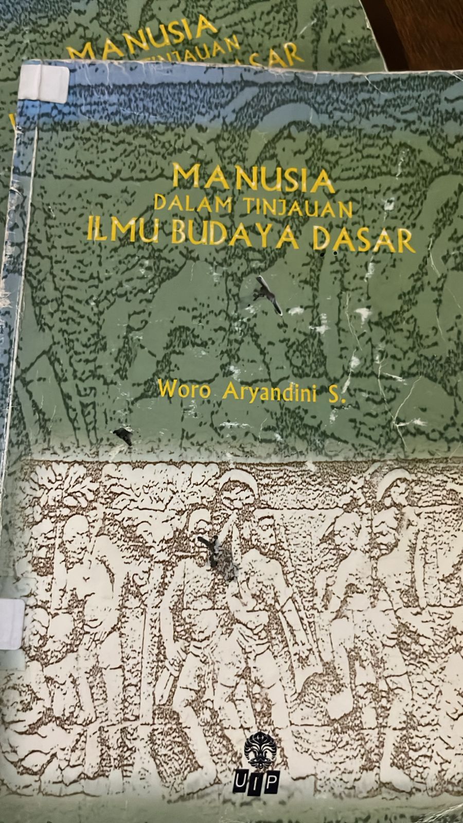 Cover buku Manusia  Dalam Tinjauan Ilmu Budayan Dasar