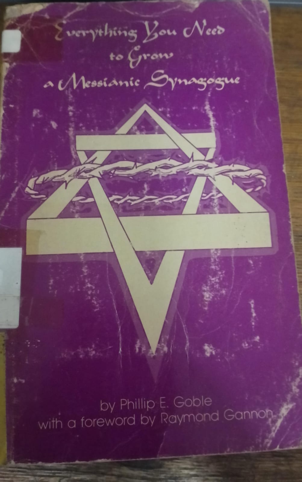 Cover buku Everything You Need to Grow a Messianic Synagogue