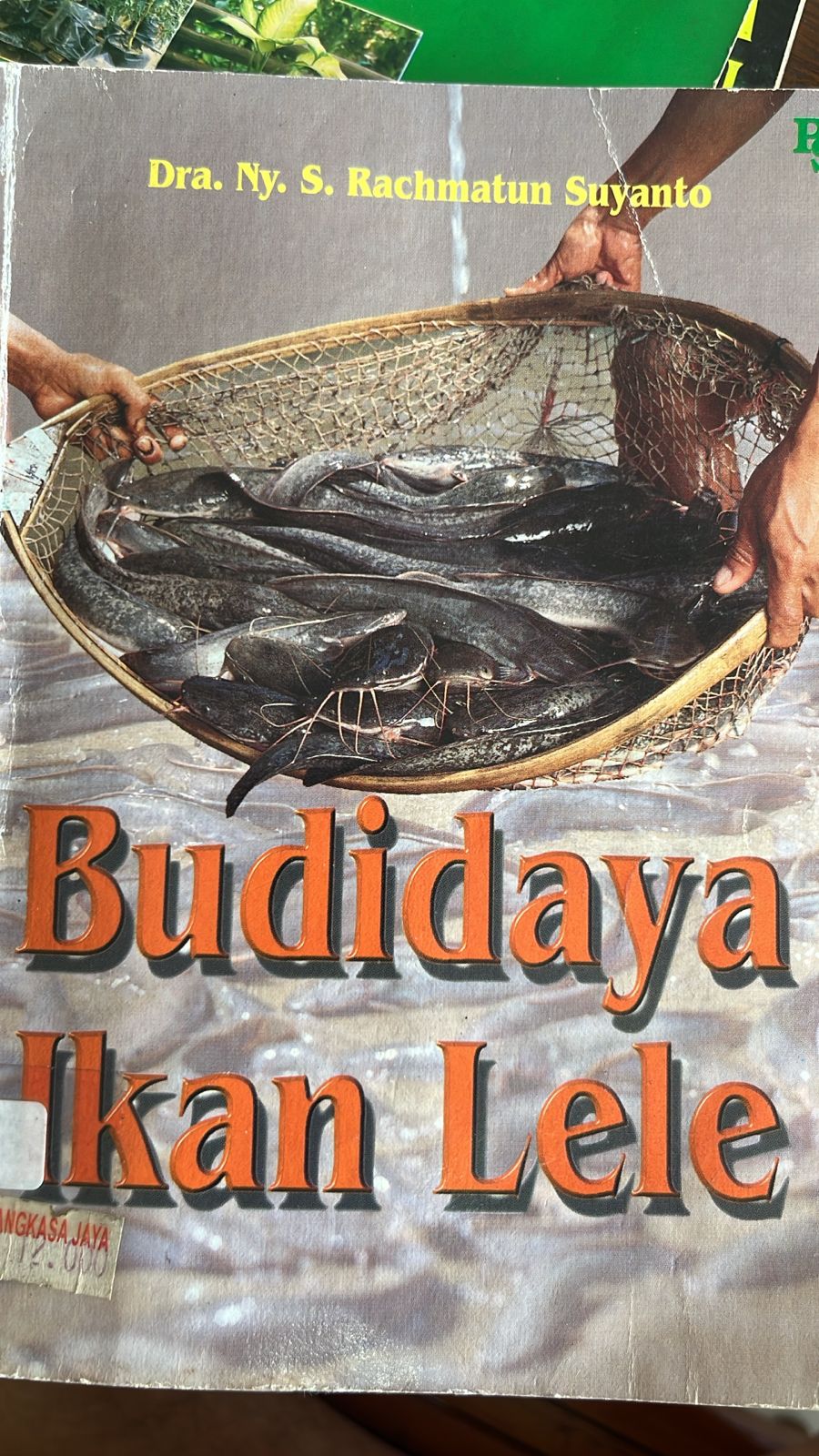 Cover buku BUDIDAYA IKAN LELE