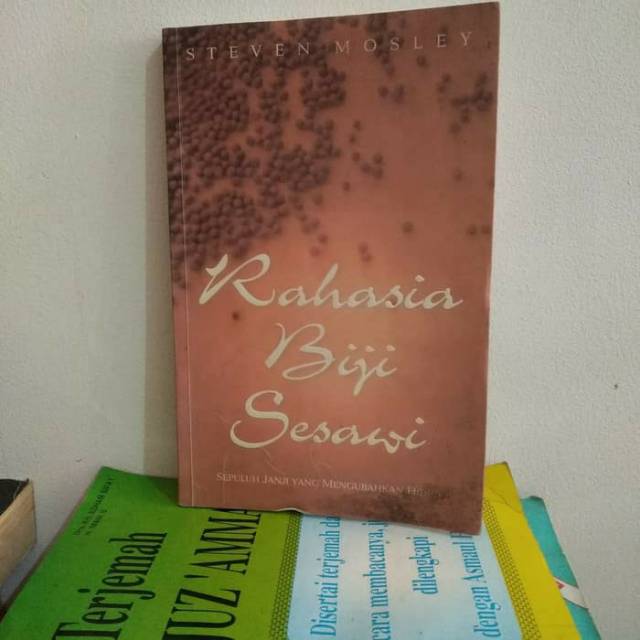 Cover buku Rahasia Biji Sesawi Sepuluh Janji Yang Mengubah Hidup