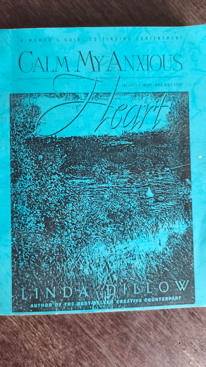 Cover buku Calm My Anxious Heart