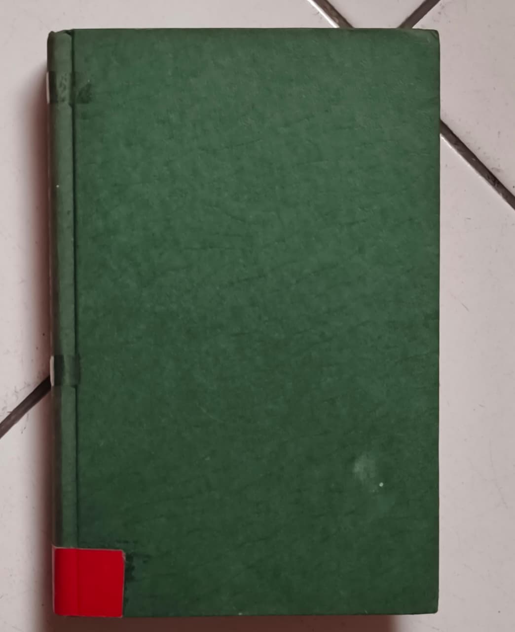 Cover buku THE GIRL OF THE WOODS