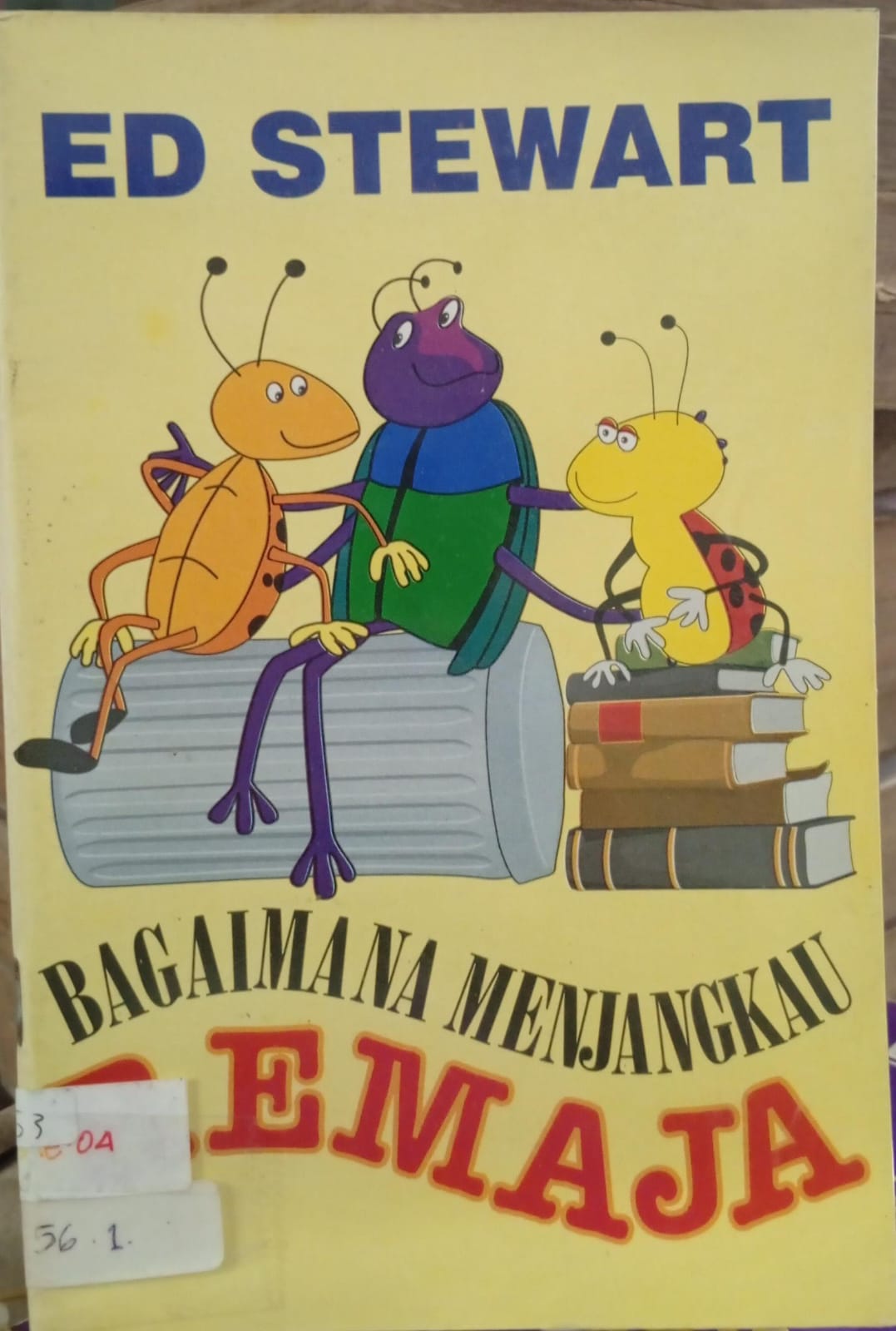 Cover buku Bagaimana menjangkau remaja
