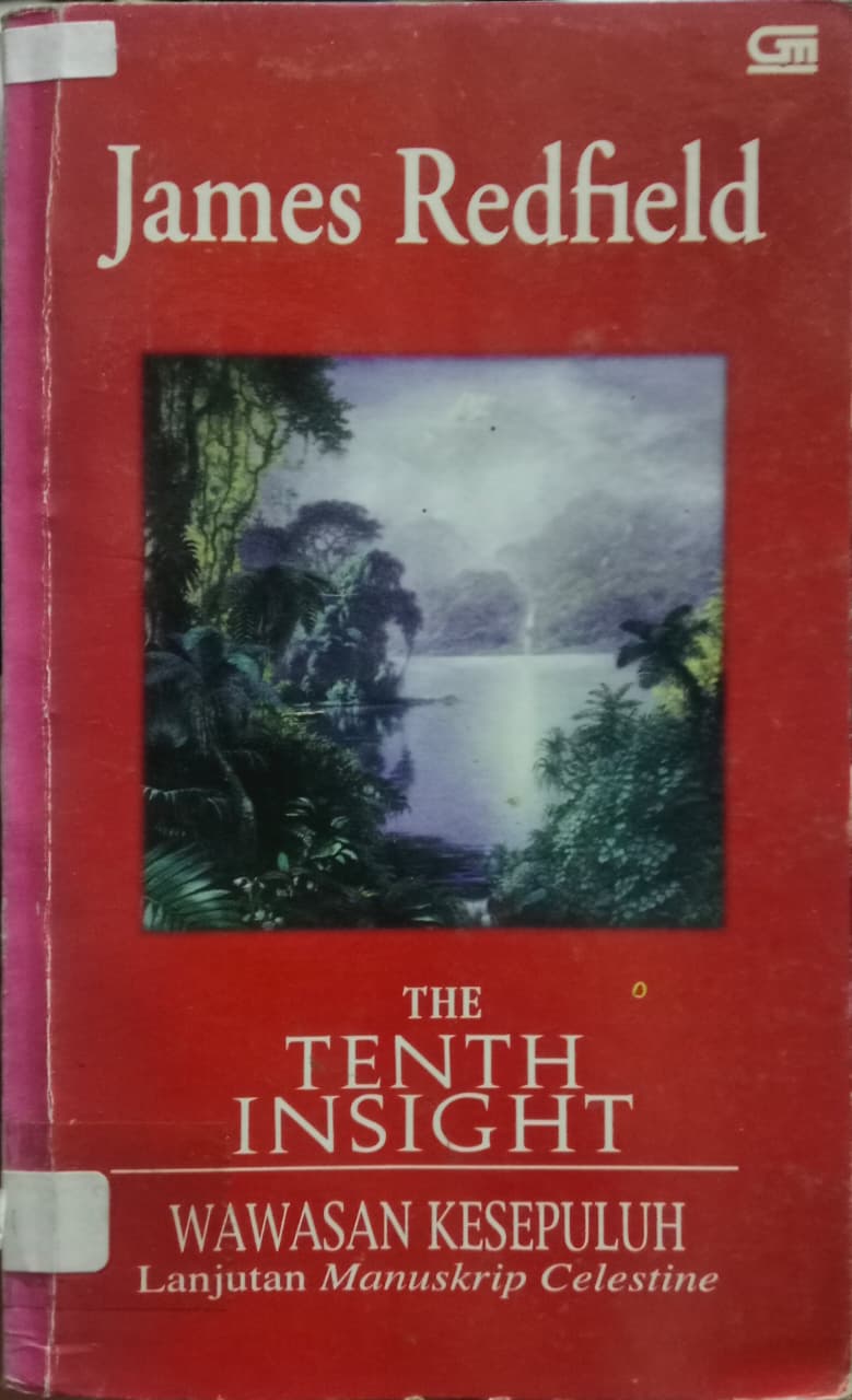 Cover buku THE TENTH INSIGHT